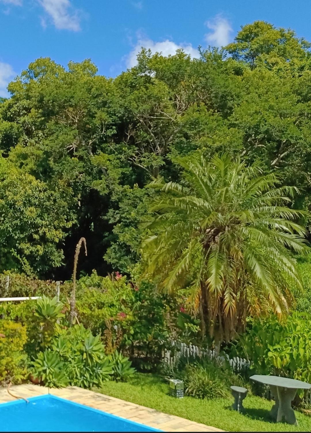 Chacara Sonho Meu Pinhalzinho (Amparo) Exterior foto
