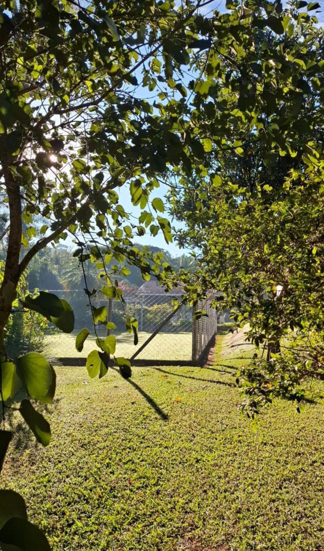 Chacara Sonho Meu Pinhalzinho (Amparo) Exterior foto